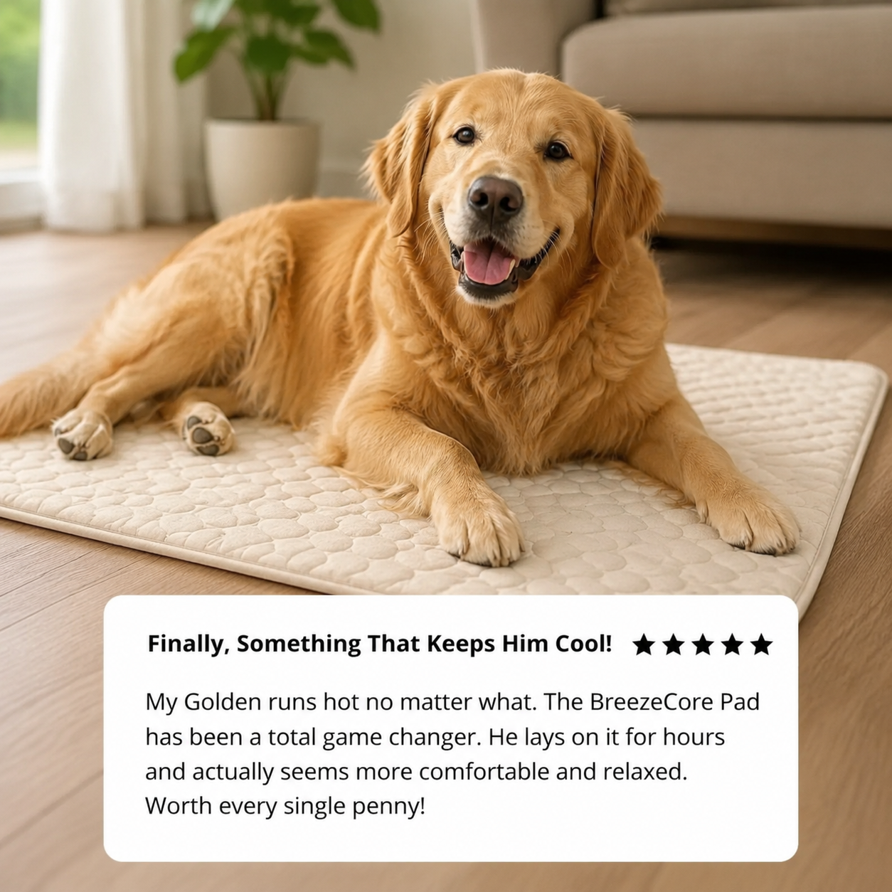 BreezeCore Cooling Pad